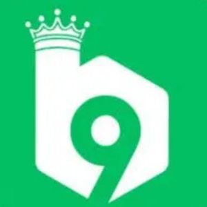 B9 Game APK